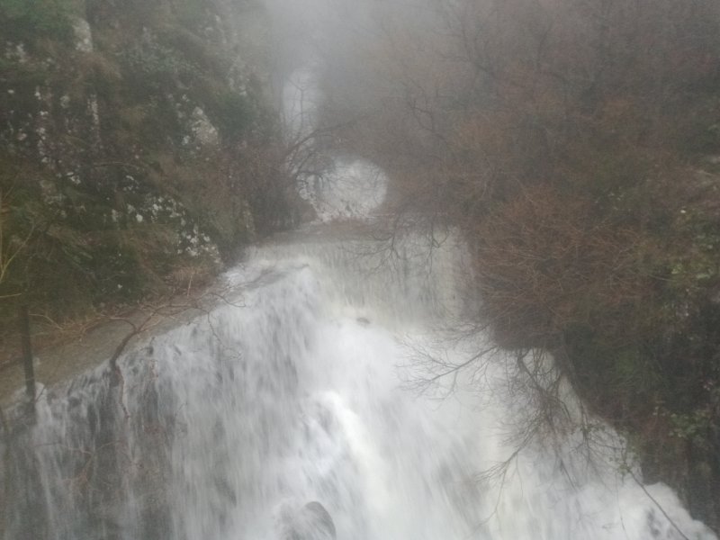 IMG_20251220_150038810.jpg