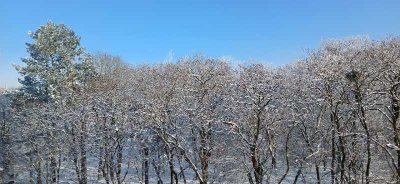20260106_124440_copy_1280x591.jpg