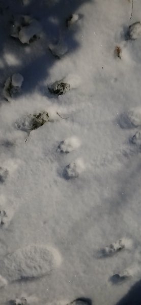 20260106_080126_copy_1280x2772.jpg