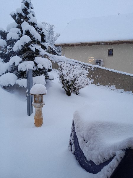 20260110_085712.jpg