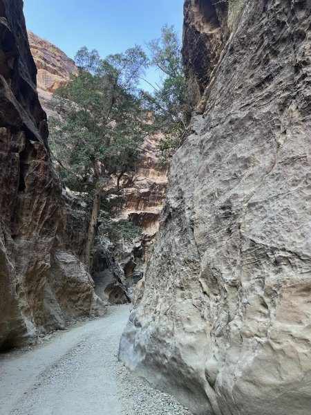 2026 01 15c - JoceMidée.jpg