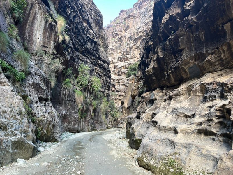 2026 01 15d - JoceMidée.jpg