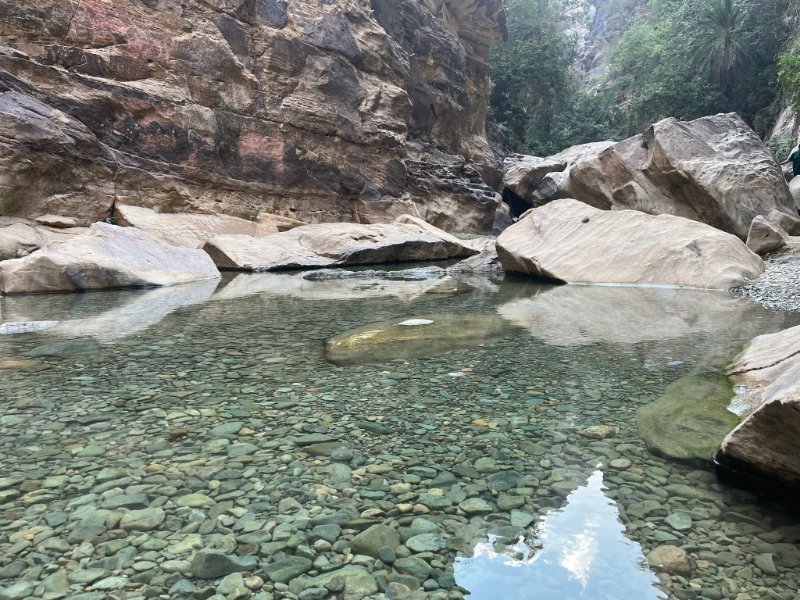 2026 01 15e - JoceMidée.jpg