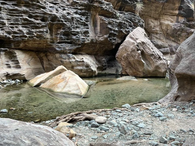 2026 01 15f - JoceMidée.jpg