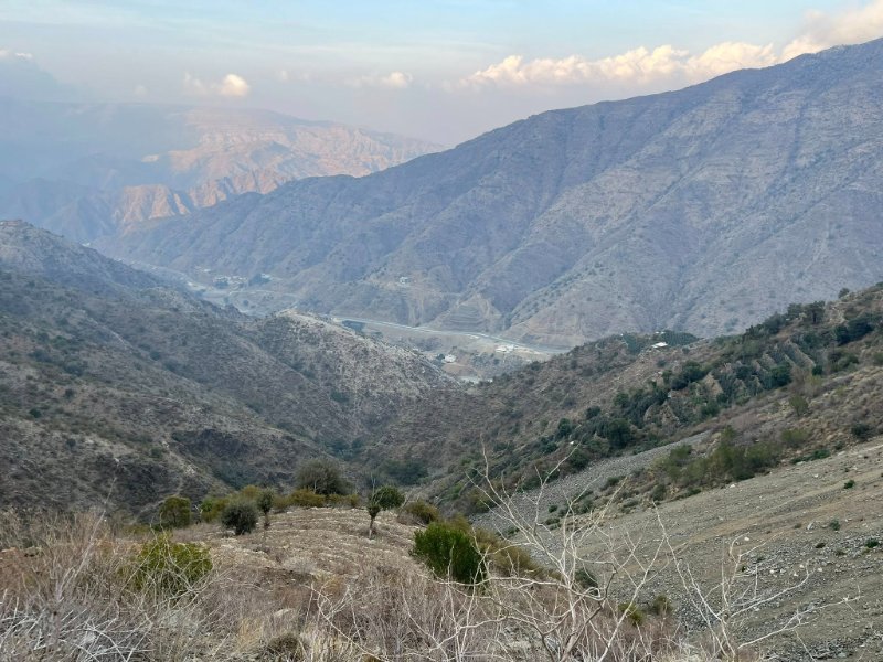 2026 01 15l - JoceMidée.jpg