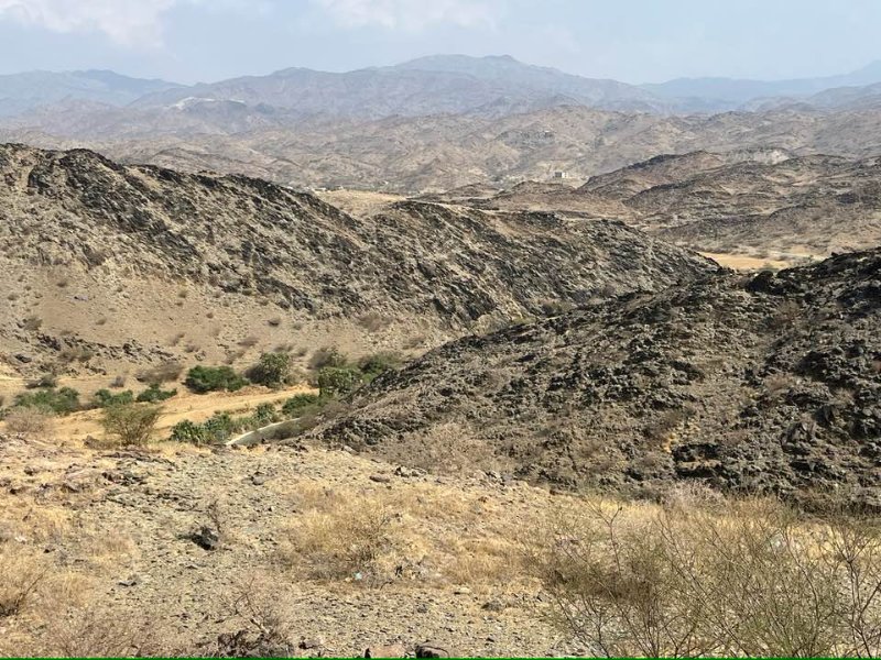 2026 01 16d - JoceMidée.jpg