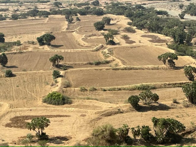 2026 01 16e - JoceMidée.jpg