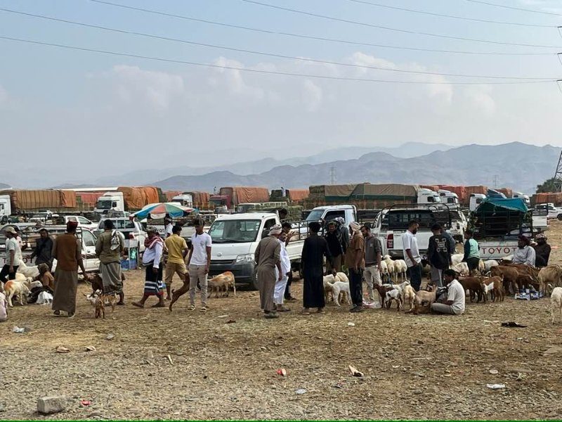 2026 01 16k - JoceMidée.jpg