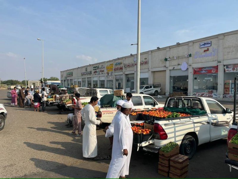 2026 01 16kc - JoceMidée.jpg