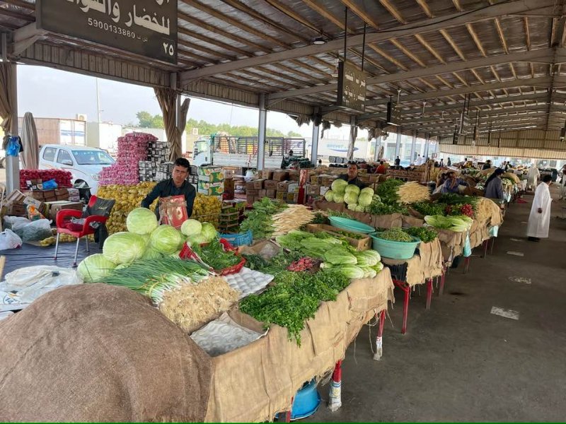 2026 01 16la - JoceMidée.jpg