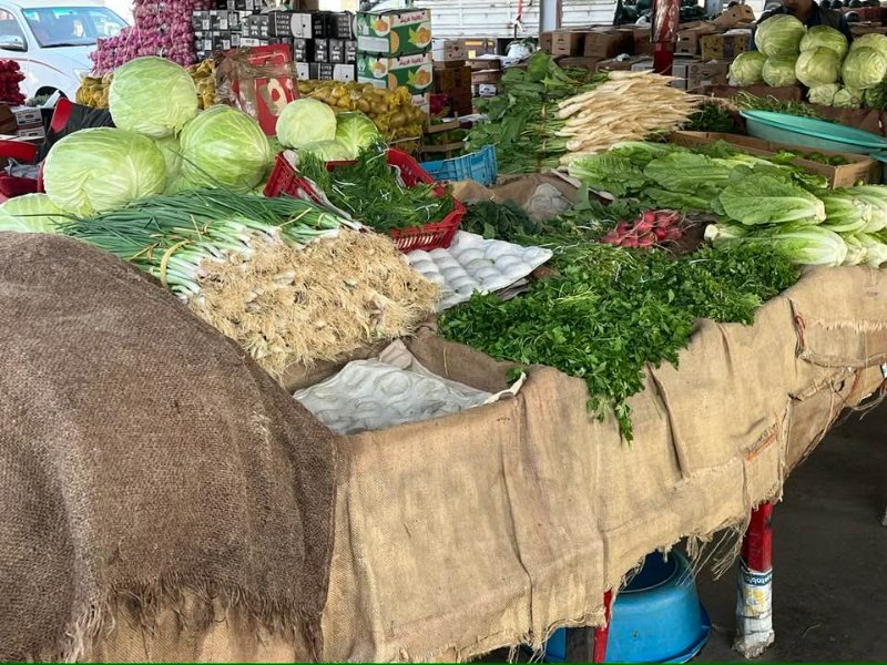 2026 01 16m - JoceMidée.jpg