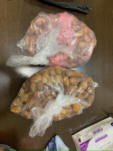 2026 01 18gb - JoceMidée.jpg