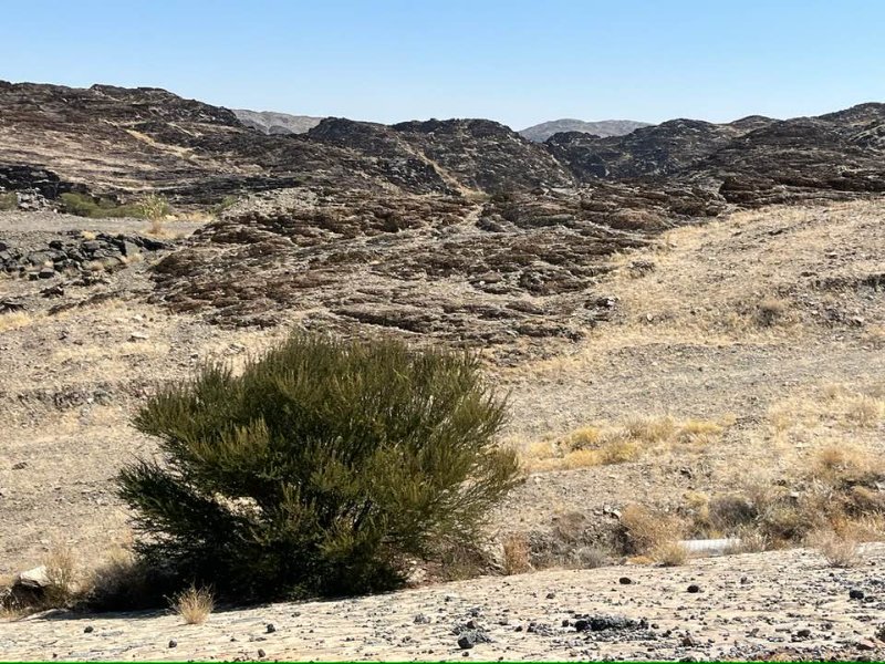 2026 01 18h - JoceMidée.jpg