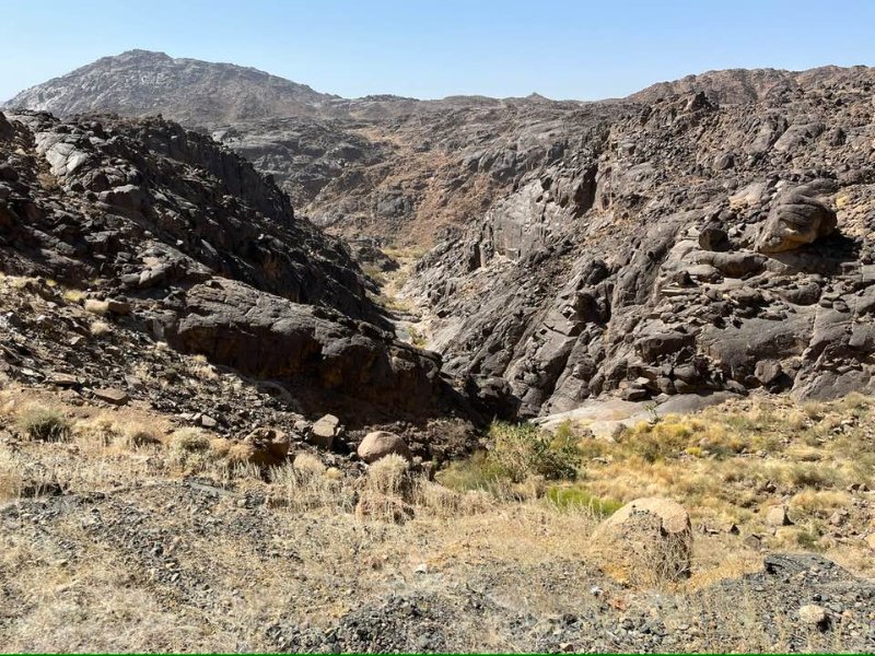 2026 01 18p - JoceMidée.jpg