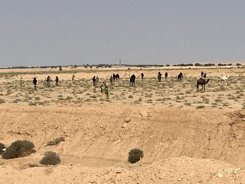 2026 01 20d - JoceMidée.jpg