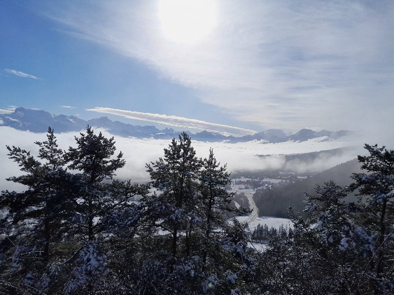 20260125_111228[1].jpg