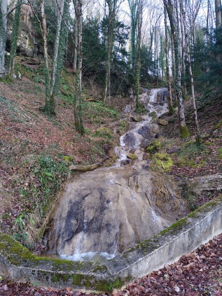 IMG_20260209_152349.jpg