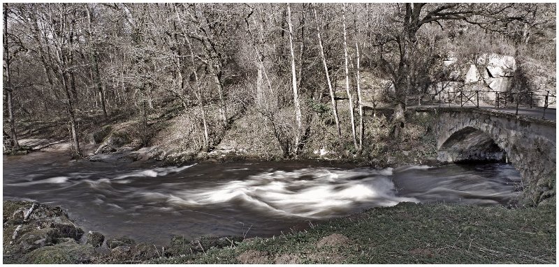 27 02 26 PARC A DAIMS.jpg