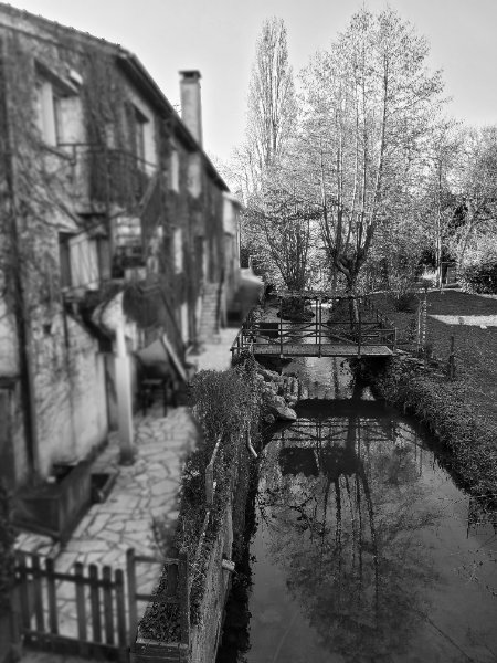 20260303_162333NB bis.jpg
