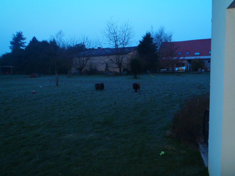 P3310003.JPG