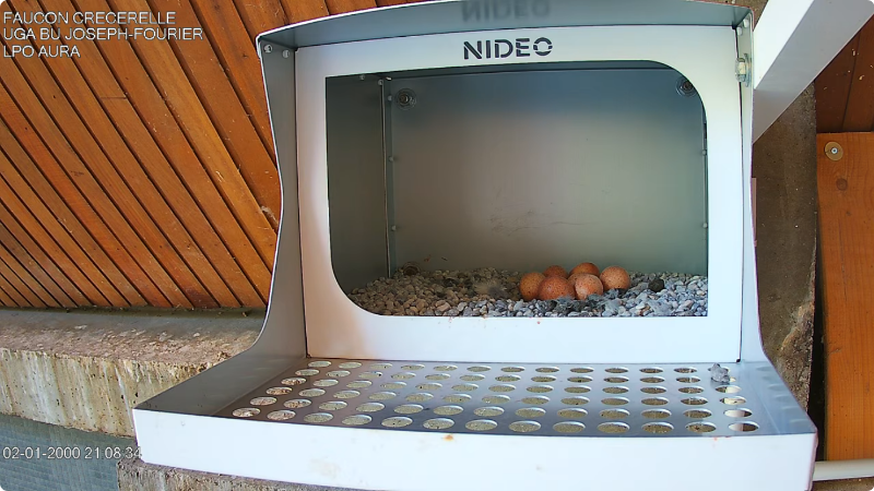 Screenshot 2026-04-16 at 16-29-46 Diffusion en direct de Crecerelle BU GRENOBLE - YouTube.png