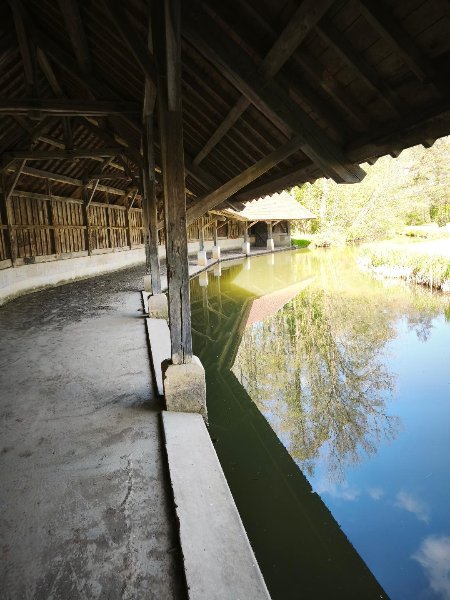 lavoir1.jpg