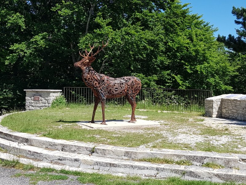 CERF en descendant par Sault du chalet Reynard.jpg