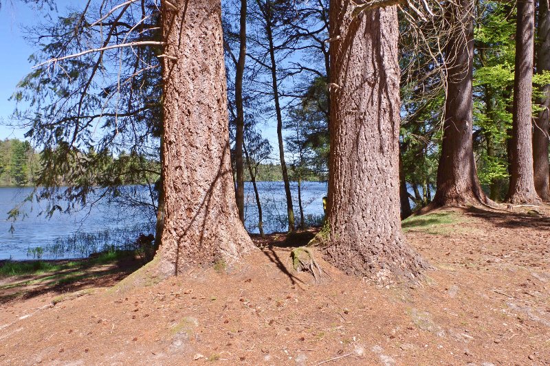 24 avril 2026 SCRAM Settons (23).jpg