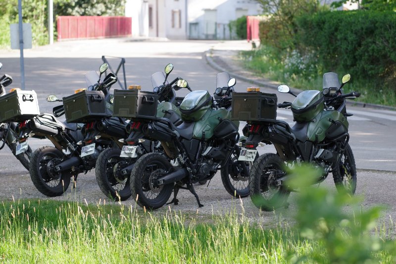 26 04 2026 Bernaches (15).jpg