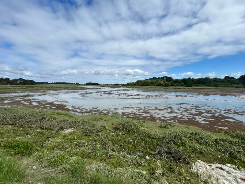 WhatsApp Image 2026-05-17 at 16.03.57 (8).jpeg