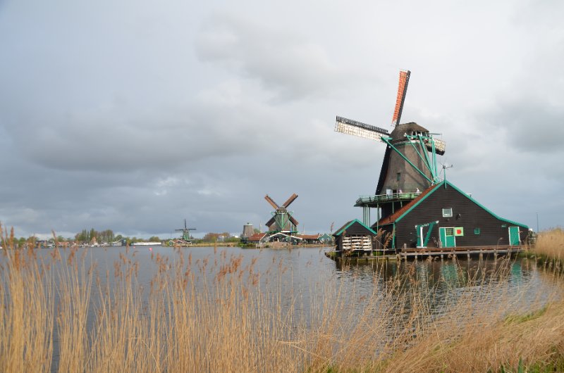 DSC_8156.JPG