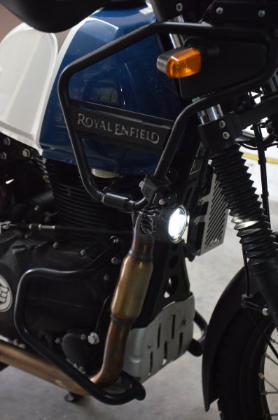 DSC_7825r.JPG