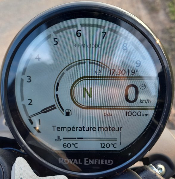 1000.jpg