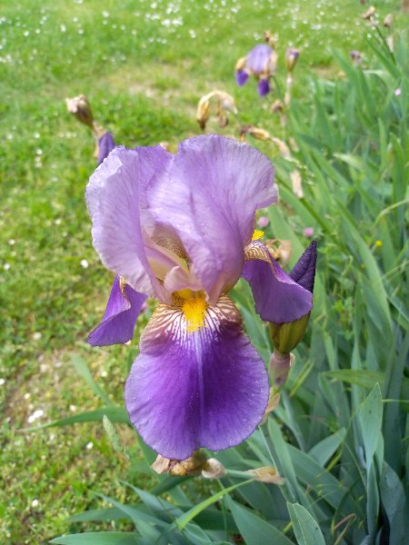IMG_20250525_154134.jpg