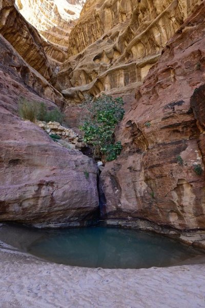 2025 12 18u - JoceMidée.jpg