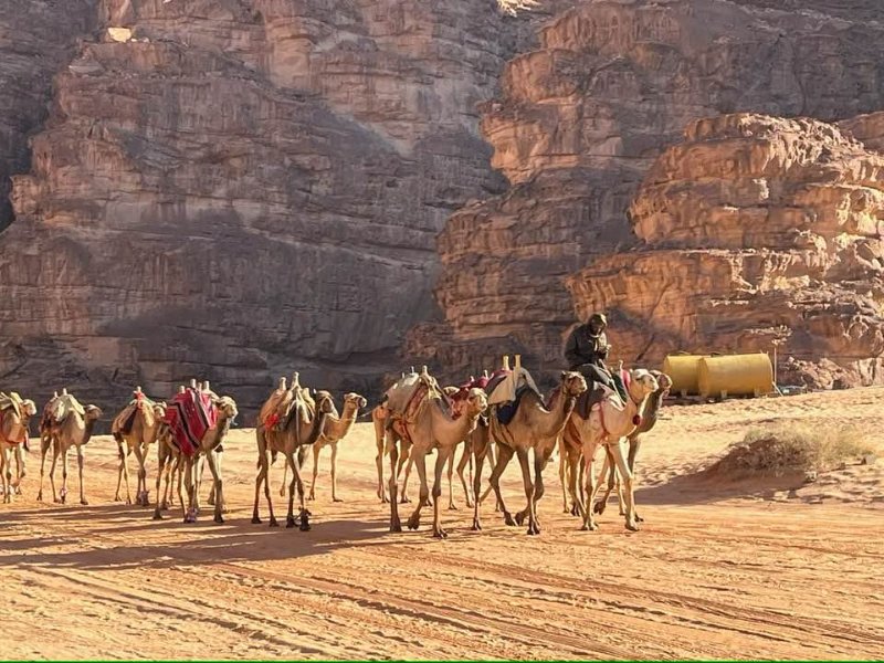 2025 12 19h - JoceMidée.jpg