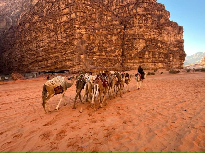 2025 12 19m - JoceMidée.jpg