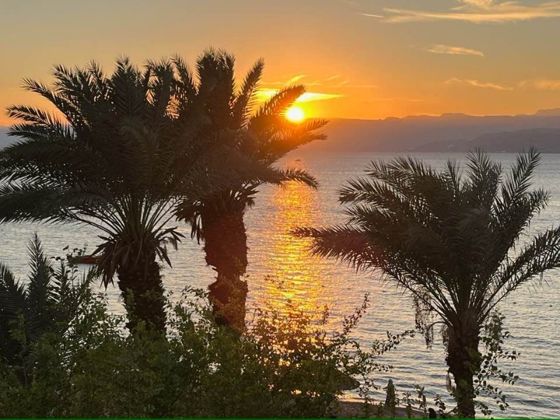 2025 12 19o - JoceMidée.jpg