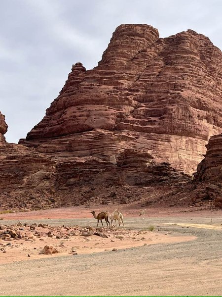 2025 12 21i - JoceMidée.jpg