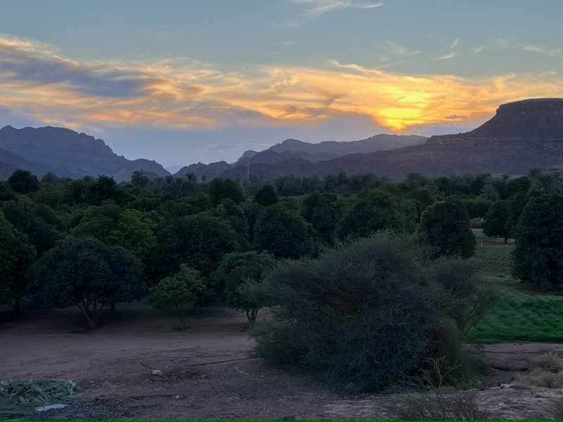 2025 12 23b - JoceMidée.jpg