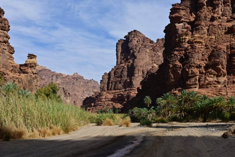 2025 12 23c - JoceMidée.jpg