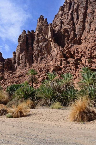 2025 12 23d - JoceMidée.jpg