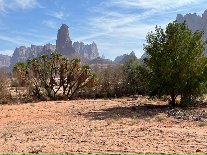 2025 12 23f - JoceMidée.jpg