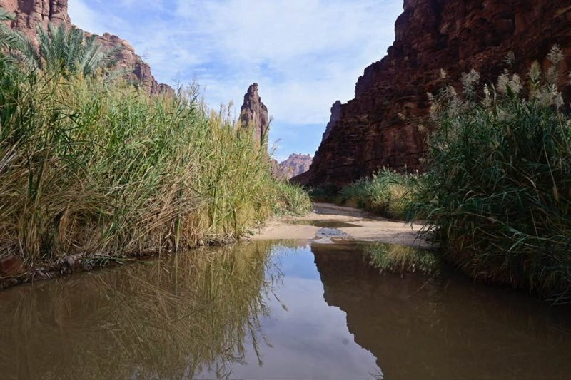 2025 12 23o - JoceMidée.jpg