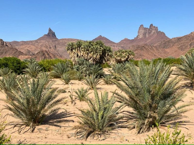 2025 12 23p - JoceMidée.jpg