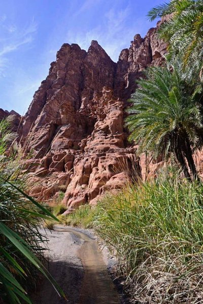 2025 12 23s - JoceMidée.jpg