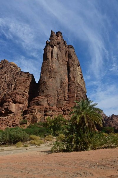 2025 12 23t - JoceMidée.jpg