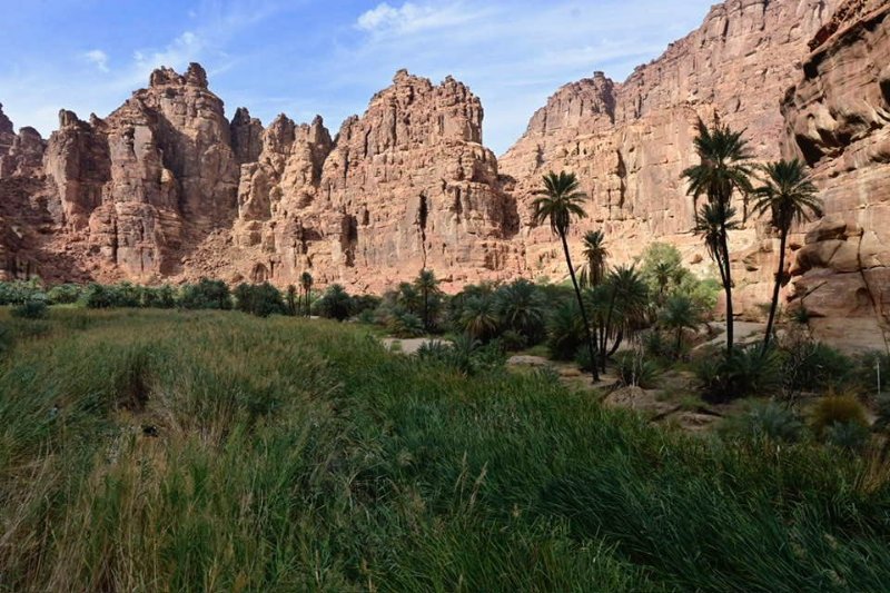 2025 12 23x - JoceMidée.jpg