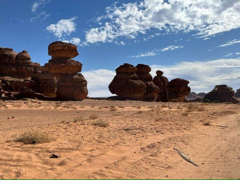 2025 12 24d - JoceMidée.jpg