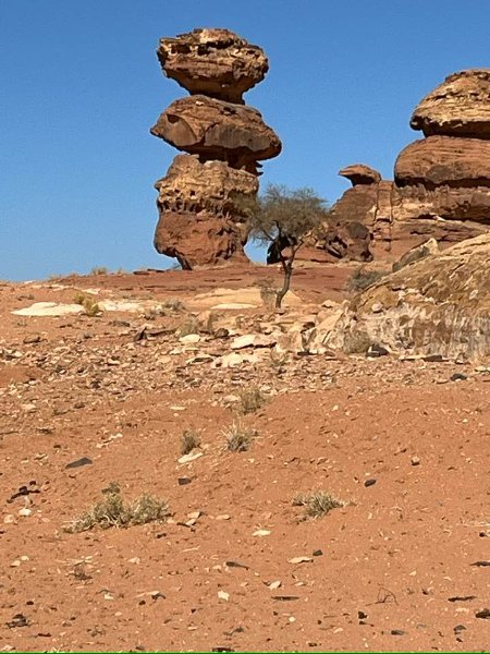 2025 12 24f - JoceMidée.jpg